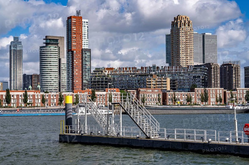 Harbour basin of the Maashaven, inland waterway port, jetties, residential buildings in the Kop van Zuid and Katendrecht district, almost all buildings have been built or rebuilt in recent years, popular residential area, structural change, Rotterdam, Netherlands
