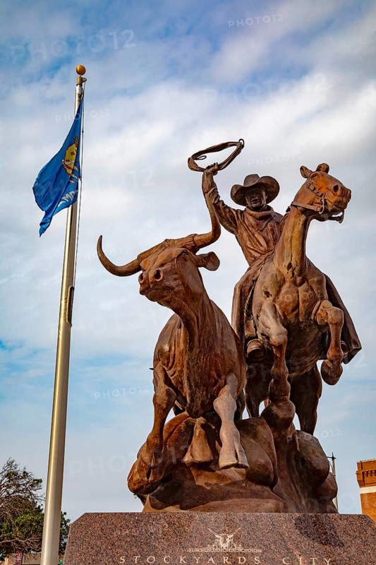 Oklahoma City, Oklahoma, 'Headin To Market, ' a sculpture by Harold T. Holden, in Stockyards City. The area has stores and restaurants for ranchers and others in the cattle business.. It is adjacent to the Oklahoma National Stockyards