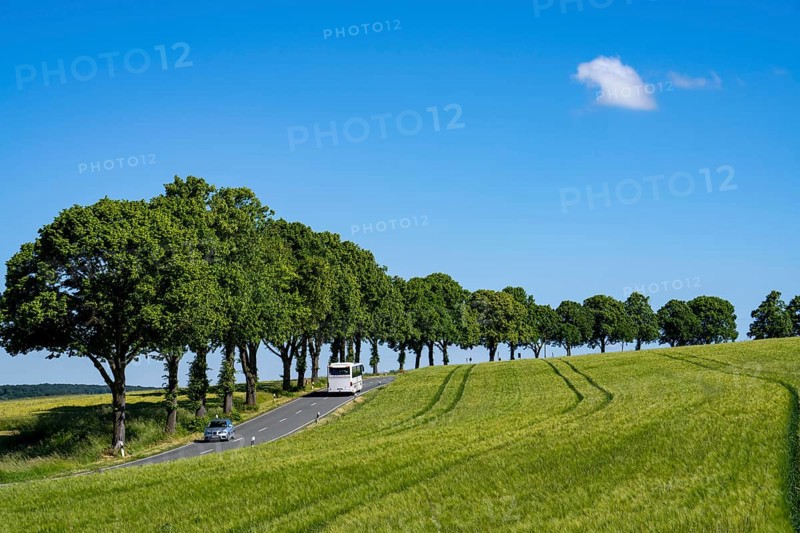 Country road between Hirschberg and Warstein, local bus, public transport, bus transport, Sauerland, North Rhine-Westphalia, Germany, Europe