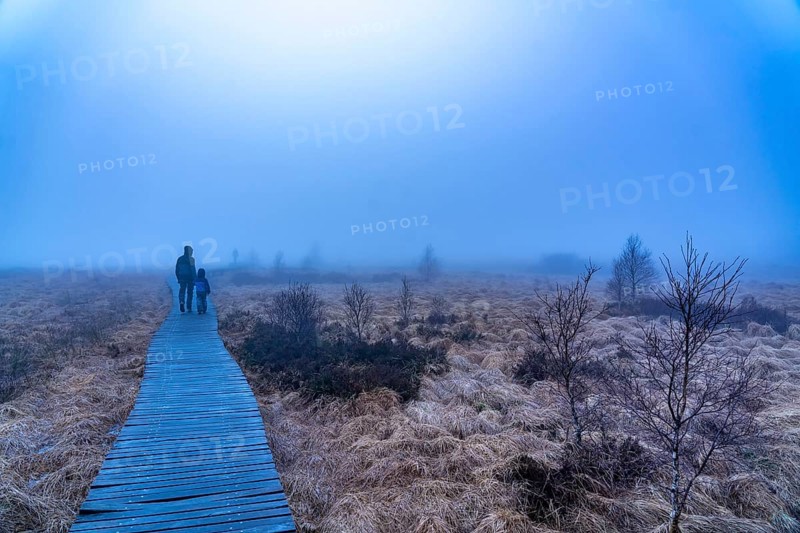 The High Fens nature park Park, in the German-Belgian border region near Eupen, winter, fog, wooden plank paths north-east of the Baraque Michel, Eupen, Belgium, Europe