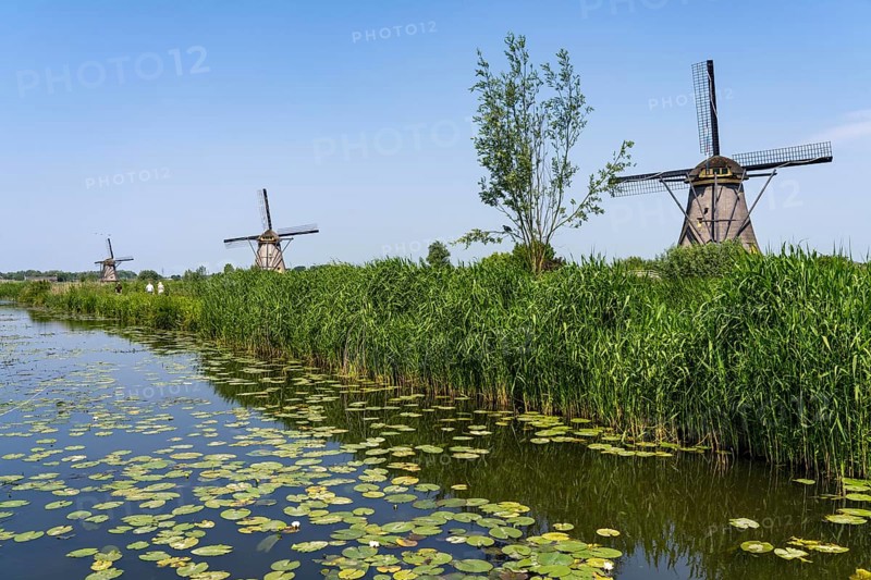 Kinderdijk, 18 windmills designed to pump water from the polders to utilise the land, one of the most famous sights, UNESCO World Heritage Site, Netherlands