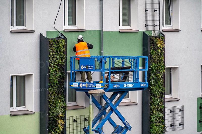 Installation of façade greenery on 4 apartment blocks on Gladbecker Straße, B224, to filter nitrogen oxides and fine dust particles from the air, climbing vines, flowering shrubs, grasses, ferns and ivy grow in the vertical gardens, Essen, North Rhine-Westphalia, Germany, Europe