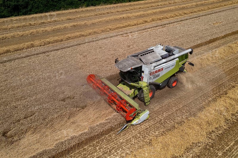 Agriculture, grain harvest, wheat, combine harvester harvesting in a wheat field, near Niederkrüchten, North Rhine-Westphalia, Germany, Europe