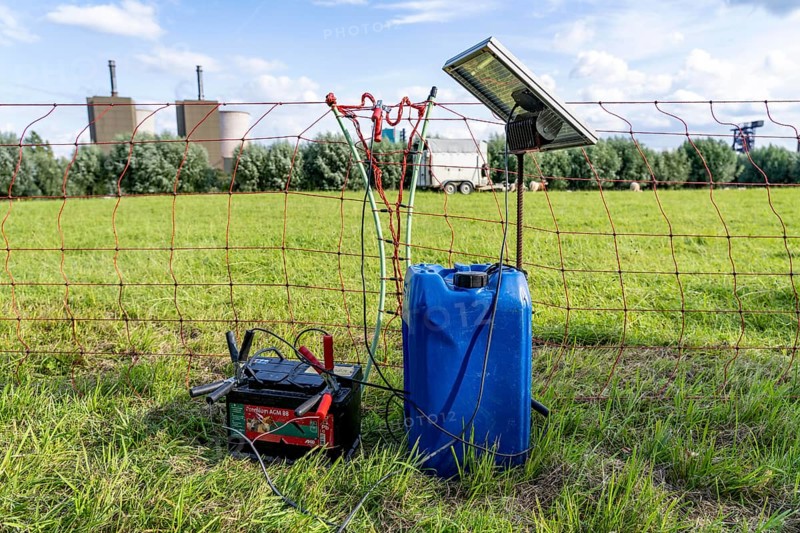 Electric pasture fence, designed to prevent molluscs, here sheep, from touching and climbing over the fence, they receive a slight electric stimulus, power supply via a car battery, solar charger, North Rhine-Westphalia, Germany, Europe