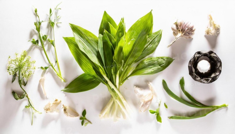 Various kitchen ingredients such as wild garlic and garlic scattered on a white background, wild garlic, Allium ursinum, KI generated, AI generated