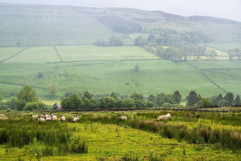 Farms over North Pennines, Cumbria, Durham, Northumberland, North Yorkshire, England, United Kingdom, Europe