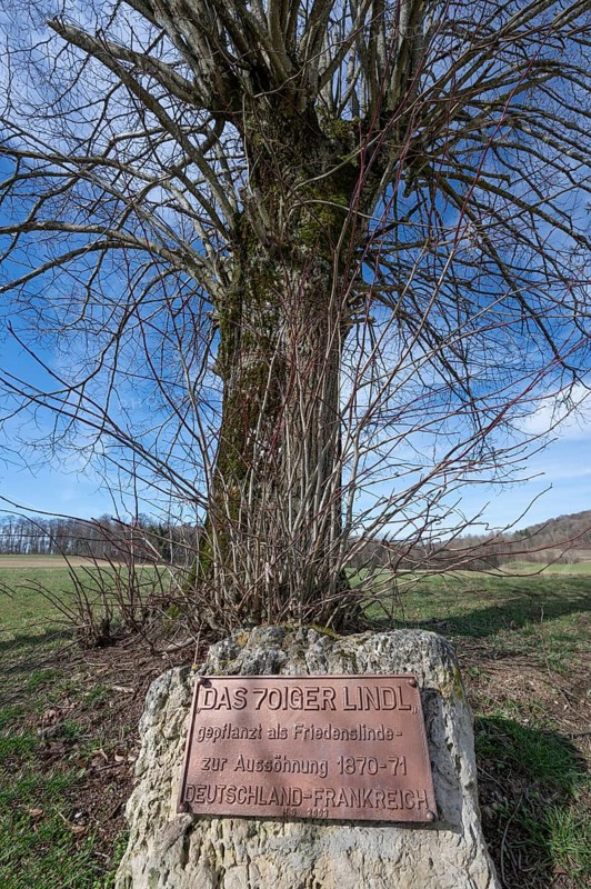 Plaque commemorating the reconciliation of the Franco-Prussian War 1870-1871 in front of a lime tree planted in 1970, Bühl. Middle Franconia, Bavaria, Germany, Europe