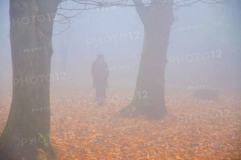Woman Walking in the Foggy with Autumn Forest with Leaves in Bellinzona, Ticino, Switzerland, Europe