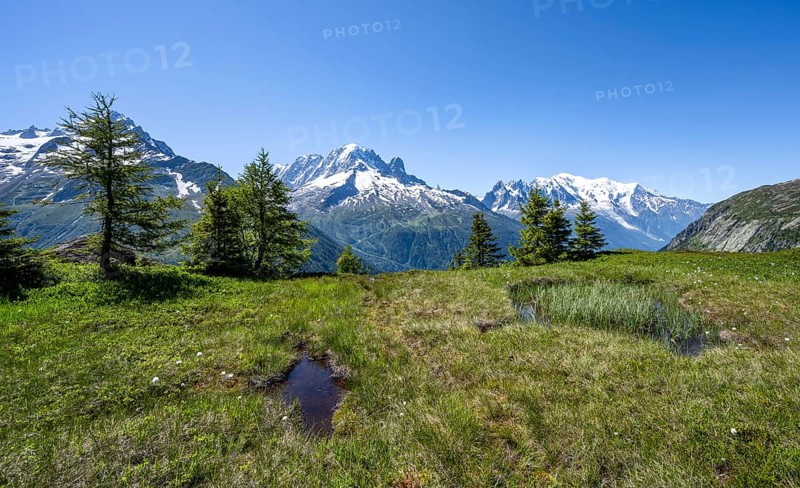Mountain panorama with glaciated mountain peaks, Aiguille Verte with Aiguille du Midi and Mont Blanc, hike to Aiguillette des Posettes, Chamonix, Haute-Savoie, France, Europe