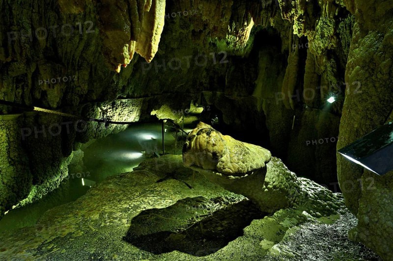 Crocodile, calcite formation, landmark of the cave, stalactite cave, Höllgrotten, Baar, Canton Zug, Switzerland, Europe