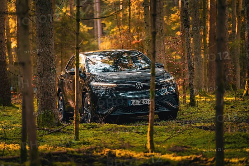 Black car between trees in the forest, soft shadows and leaves, car sharing vehicle Deer Mobility, electric car VW ID5, Black Forest, Germany, Europe