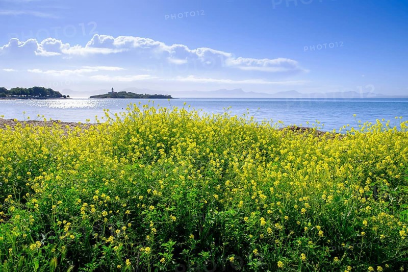 Island with lighthouse Alcanada, rape, Alcudia, Majorca, Balearic Islands, Spain, Europe