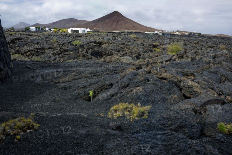 Volcanic landscape, Fundación César Manrique, César Manrique Foundation, Tahíche, Lanzarote, Canary Islands, Canary Islands, Spain, Europe