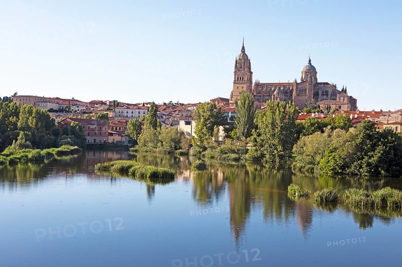 Salamanca and the cathedral on the Rio or river Tormes, province of Salamanca, Castile and Leon, Spain, Europe