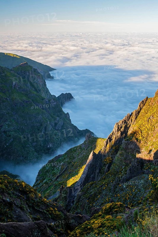 Aerial view at Pico do Arieiro of mountains over clouds with blooming Cytisus shrubs on sunset with sunburst. Madeira island, Portugal, Europe