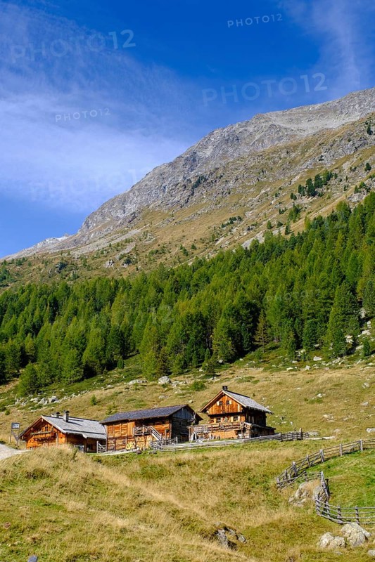 Staller Almen, high valley, Staller Sattel, Defereggen Valley, East Tyrol, Austria, Europe