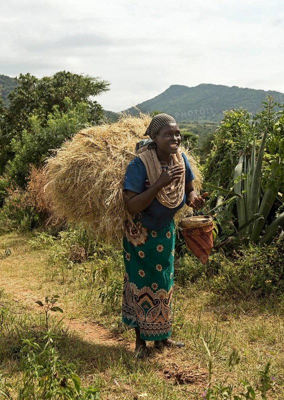 Woman from the Banna ethnic group with a bale of hay on her back and honey in her hand on her way to the market in Keyafar, Southern Omo Valley, Ethiopia, Africa
