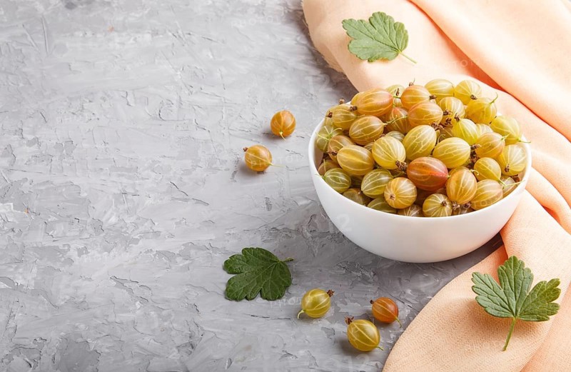 Fresh green gooseberry in white bowl with orange textile on gray concrete background. side view, copy space