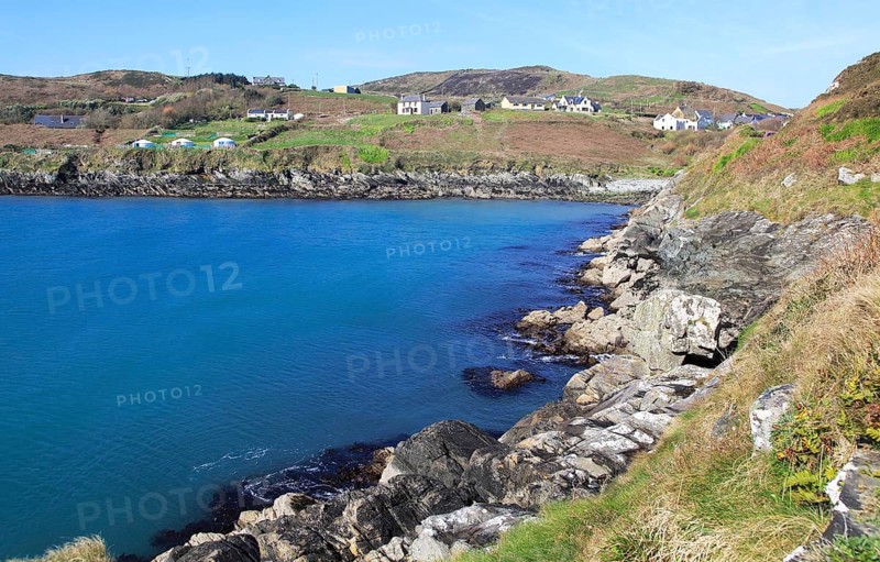 South Harbour bay and houses, Cape Clear Island, County Cork, Ireland, Irish Republic, Europe