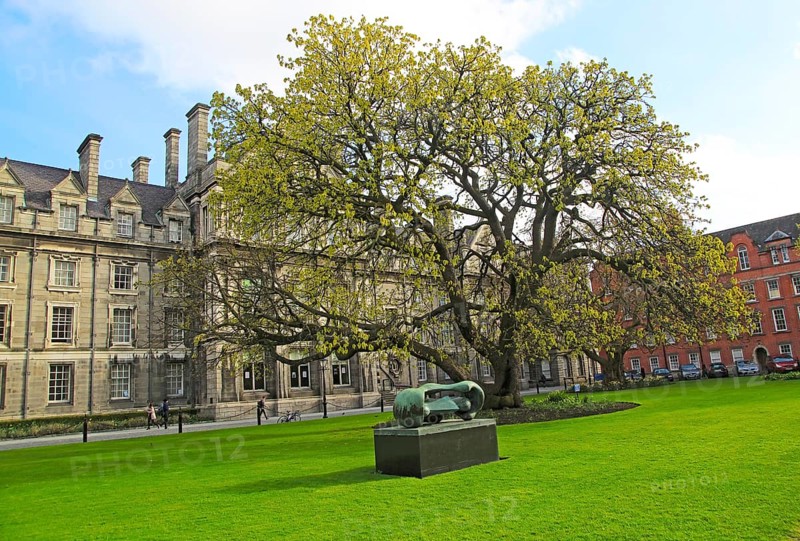 Graduates Memorial building, Trinity College university, city of Dublin, Ireland, Irish Republic, Europe