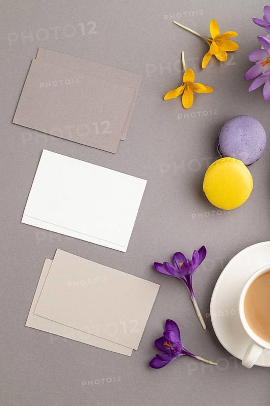 Gray and white business card mockup with spring snowdrop crocus flowers, cup of coffee, multicolored macaroons on gray pastel background. Blank, business card, top view, flat lay, copy space, still life. spring concept