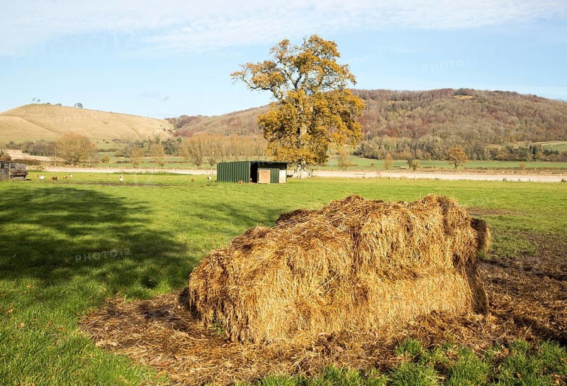Farming landscape view chalk escarpment Oliver's castle, near Devizes, Wiltshire, England, UK from Rowde