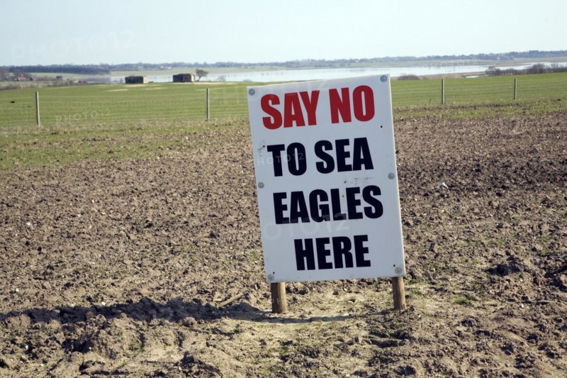 Protest sign against introduction of white-tailed sea eagle birds to Suffolk coast, Blythburgh, Suffolk, England, UK 2010