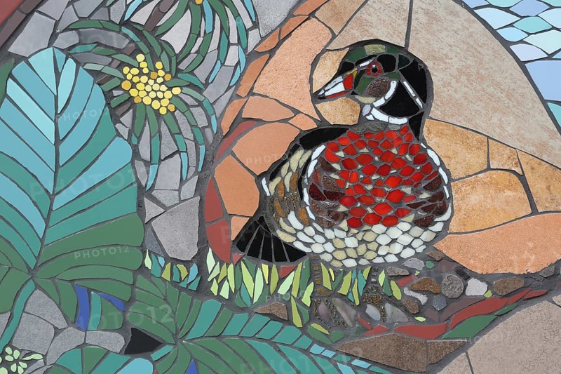 Wall mosaic with male mallard by Isidora Paz López 2019, one, bird figure, flower figure, duck figure, handicraft, tiles, tiles, Lopez, rock staircase, bird staircase, Pirmasens, Palatinate Forest, Rhineland-Palatinate, Germany, Europe