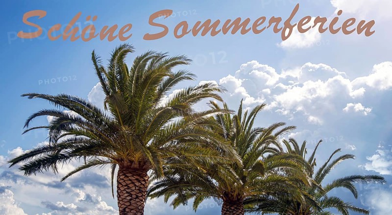 Palm trees in front of a blue sky and clouds, at the upper edge of the picture is written Beautiful summer holidays