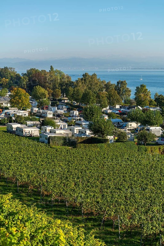 Campsite, caravan, blue sky, vineyards, Hagnau am Lake Constance, Baden-Württemberg, Germany, Europe
