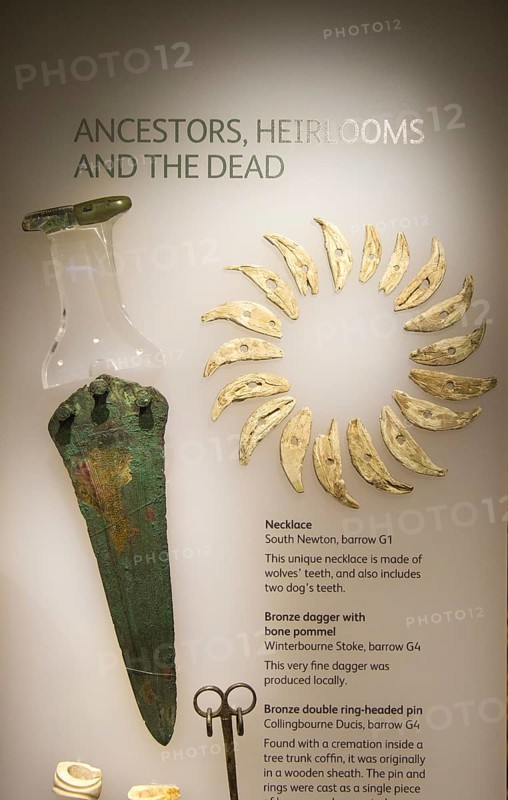Wolf teeth necklace from South Newton barrow, bronze dagger from Winterbourne Stoke. With permission of Wiltshire Museum, Devizes, England, UK
