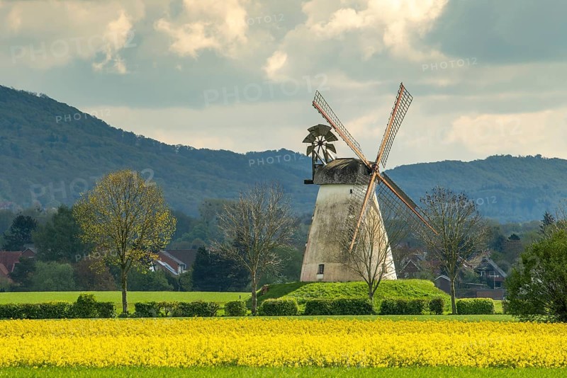 Windmill Veltheim with rape fields Porta Westfalica Germany