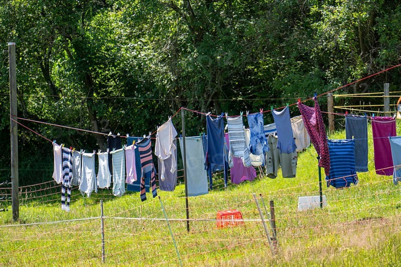 Laundry dries on the line in a garden, in summer