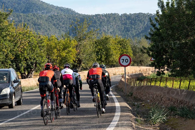 Road bike rider on the Ma-3440, near Inca, Majorca, Balearic Islands, Spain, Europe
