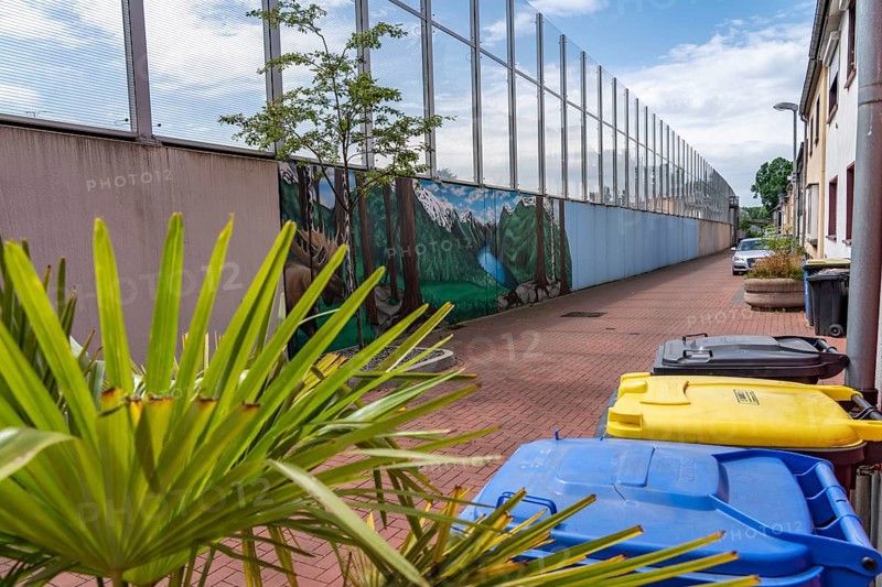 Noise barrier on Hombrucher Straße in Essen-Frillendorf, along the A40 motorway, 250 metres long, residents of a house have had a picture of a mountain lake painted on the grey concrete wall, as a more beautiful view, North Rhine-Westphalia, Germany, Europe