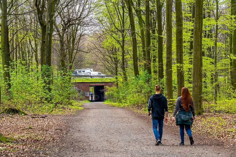The Sterkrader Wald in Oberhausen, at the Oberhausen motorway junction, where the A2/A3A/A516 meet, it is to be expanded, 11 hectares of forest, around 5, 000 trees are to be felled for this, strong resistance to the plans has formed in the region, #Sterkibleibt, North Rhine-Westphalia, Germany, Europe
