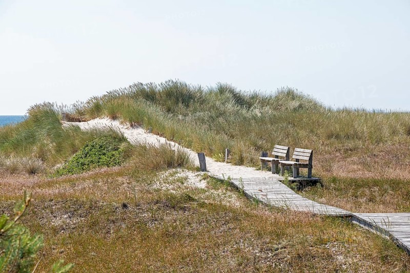Wooden footbridge, benches, dunes, circular hiking trail, nature reserve, Darßer Ort, Born a. Darß, Mecklenburg-Western Pomerania, Germany, Europe