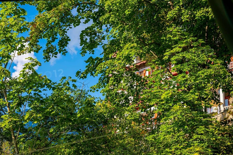 The Historical Grandhotel Giessbach on the Mountain Side Behind Trees in Brienz, Bern Canton, Switzerland, Europe