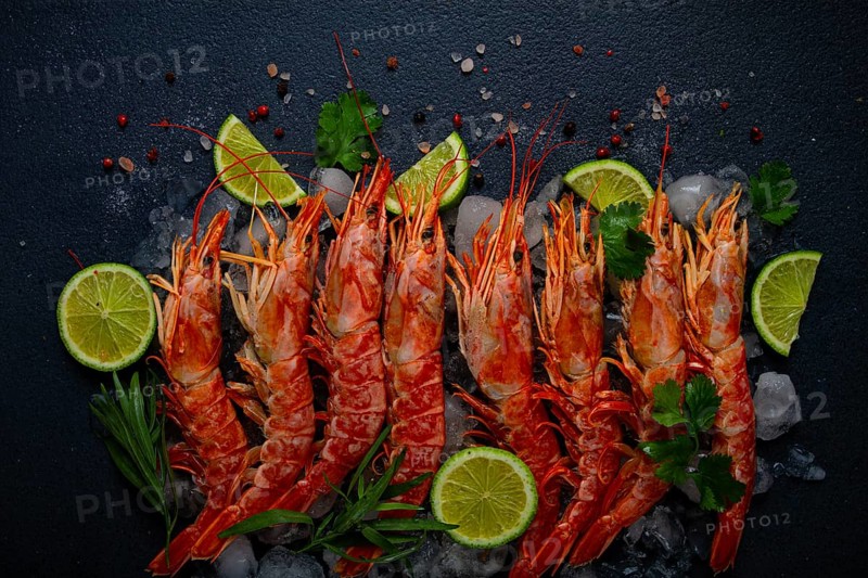 Langoustines, Australian, freshly frozen on ice, top view, lime and greens
