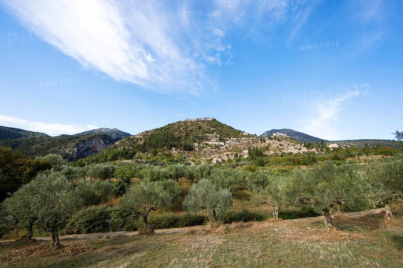Byzantine ruined city of Mystras or Mistra on the Taygetos Mountains, UNESCO World Heritage Site, in front of olive groves, Laconia, Peloponnese, Greece, Europe