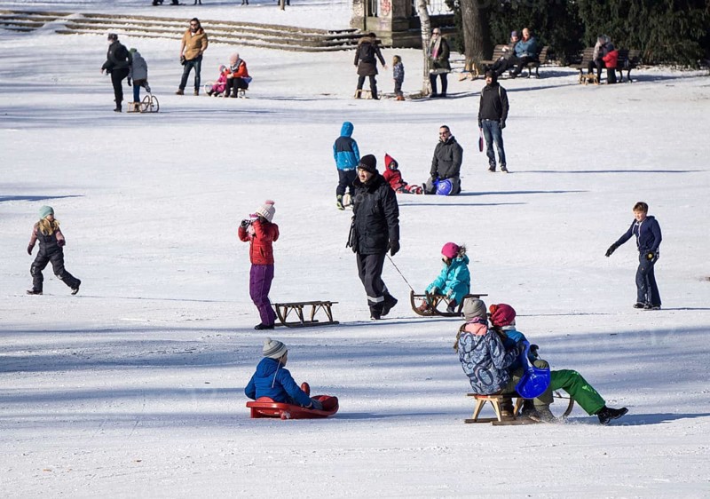 Tobogganing fun in Berlin's snow-covered Viktoriapark. Snow and icy cold continue to dominate the weather, 13.02.21