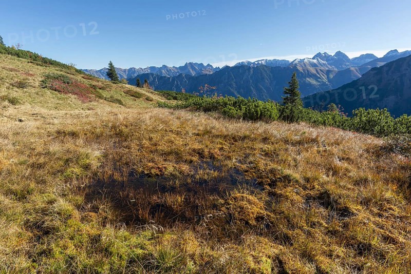 Autumn in the Allgäu, mountain panorama from Fellhorn 2037m, to Höfats, 2259m, Öfnerspitze, 2576m, Großer Krottenkopf, 2656m and Kratzer, 2427m, Hornbachkette, Allgäu Alps, Bavaria, Germany, Europe