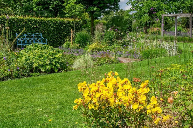 Perennial beds and blue bench in the district educational garden, Burgsteinfurt, Münsterland, North Rhine-Westphalia, Germany, Europe