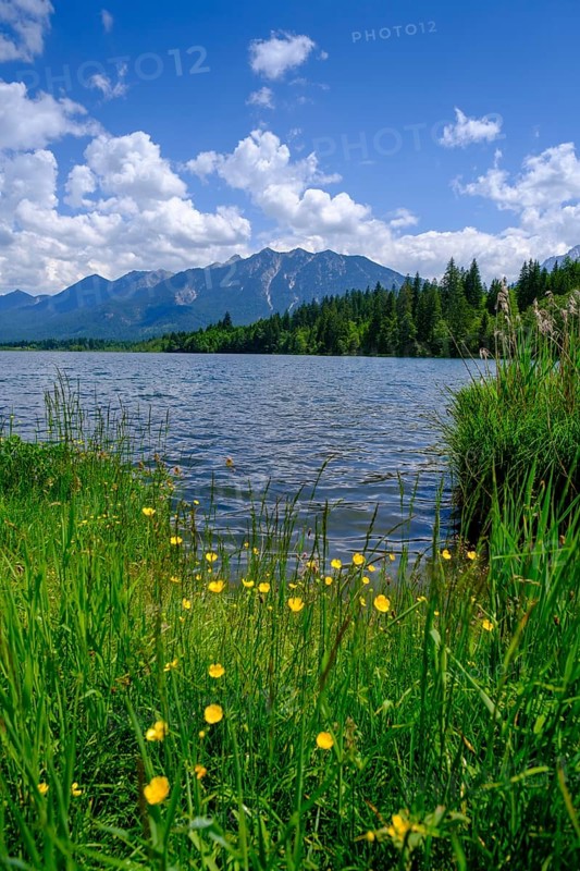 Barmsee, Karwendel mountains in the background, Krün, Werdenfelser Land, Upper Bavaria, Bavaria, Germany, Europe