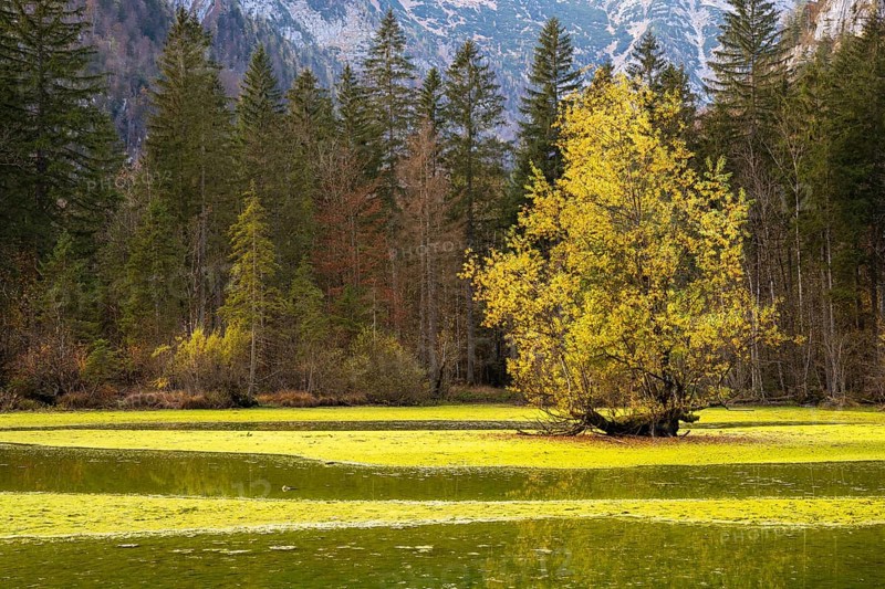The Koppenwinkelbracke near Obertraun in autumn. Obertraun, Salzkammergut, Upper Austria, Austria, Europe
