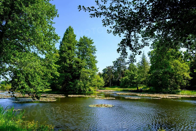 Dessau-Wörlitz Garden Kingdom, Wörlitz Park, UNESCO World Heritage Garden Kingdom of Dessau-Wörlitz, Dessau, Saxony-Anhalt, Germany, Europe