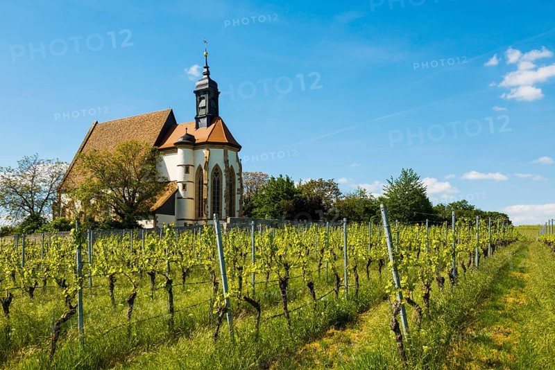 Pilgrimage church Maria im Weingarten, Volkach, Mainfranken, Lower Franconia, Franconia, Bavaria, Germany, Europe