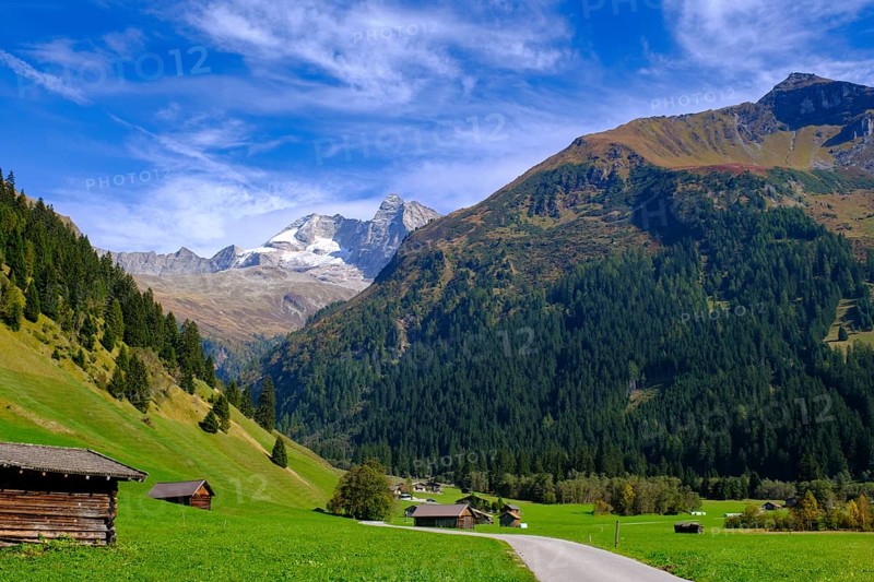 Alpine pasture with Olperer, Innervals, Valser Tal, Valser Tal Natura 2000 nature reserve, Wipptal, Tyrol, Austria, Europe
