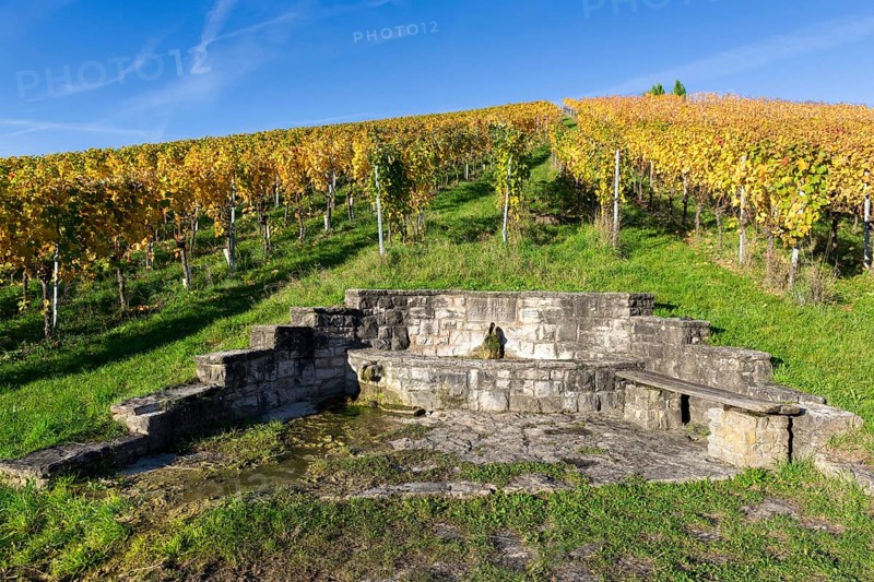 Stone bench and fountain in front of an autumnal vineyard under a clear blue sky, Strümpfelbach, Rems Valley, Baden-Württemberg, Germany, Europe