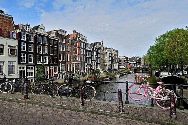 Pink bicycle decorated with flowers on a bridge by a canal, Amsterdam, Province of North Holland, Netherlands